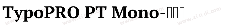 TypoPRO PT Mono字体转换